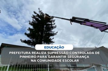 PREFEITURA REALIZA SUPRESSÃO CONTROLADA DE PINHEIRO PARA GARANTIR SEGURANÇA NA COMUNIDADE ESCOLAR