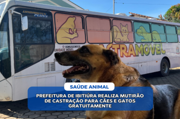 PREFEITURA DE IBITIÚRA REALIZA MUTIRÃO DE CASTRAÇÃO PARA CÃES E GATOS GRATUITAMENTE