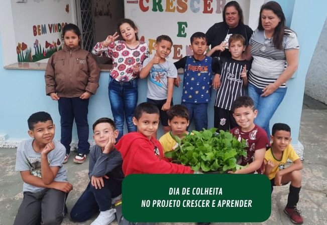 COLHEITA DAS PRIMEIRAS VERDURAS DA HORTA DO PROJETO É REALIZADA