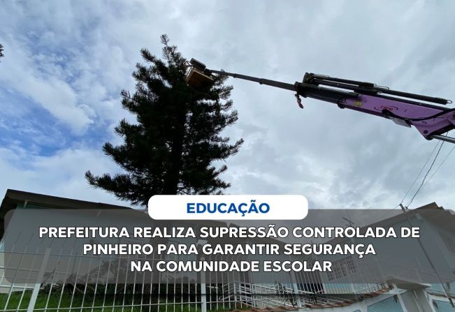 PREFEITURA REALIZA SUPRESSÃO CONTROLADA DE PINHEIRO PARA GARANTIR SEGURANÇA NA COMUNIDADE ESCOLAR